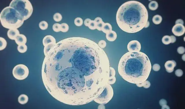 微信图片_20221126152749.png